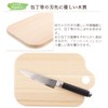 TOSARYU Shimantoku Hinoki Tabletop Cutting Board Square S
