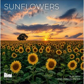 July 2025- December 2026 Sunflowers Wall Calendar 18 Month | 12" x 24" Open | Giftable Flowers Calendar 2026 | Thick & Sturdy Paper for Organizing & Planning | Pacific Waters Press (Sunflowers)