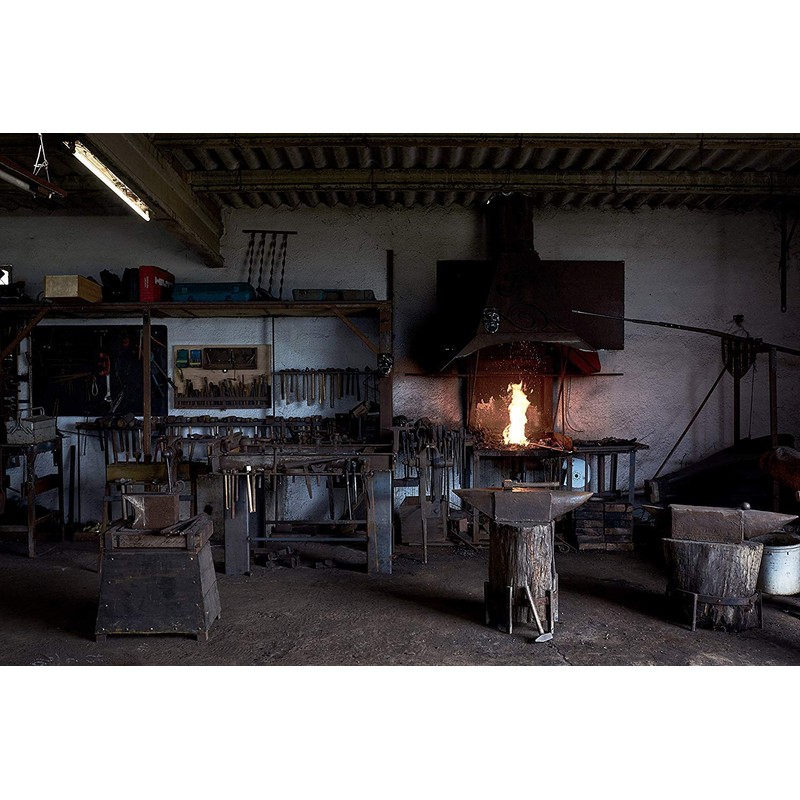 Iron Forge Eternal "Beauty and the Beast" Rose (Red/Black)