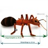 Kuscheltiere.biz Ancula Premium Plush Toy Forest Ant Decorative Toy
