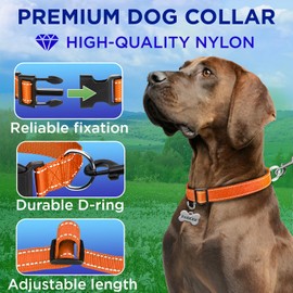 TECEUM Reflective Pet Collar – Orange – XS – Basic Nylon Dog Collar – Quick Release Buckle – Fits Small, Medium and Large Dogs, Puppies, Cats – ESA & Service Dog Options