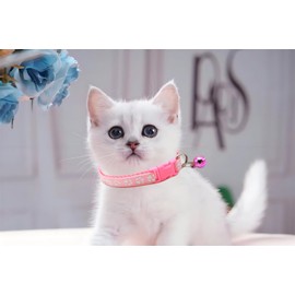 Pink XXS Dog Collar with Bell, 2-Pack Reflective Cat Collar with Bells Girl Puppy Collar with Bell for XXS XS Tiny Little Kitten Pet Female Dogs,Neck 7-12 Inch