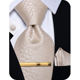 YourTies Men's Tie Champagne Tie and Pocket Square Set Silk Wedding Party NeckTie Business Formal