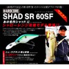 DUEL HARDCORE SR 60SF 60mm R1382-HGSN 06: Golden Shiner