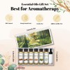 EUQEE 10ml Woody Essential Oils Set - Pure & Nature