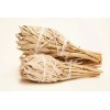 Age of Aquarius California White Sage Wholesale Bundle: 12 White