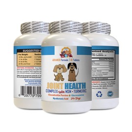 Dog Joint Supplement - Dogs Joint Health Complex with Turmeric and MSM - Supports Hips and Joints - Turmeric for Dogs Curcumin pet antioxidant - 1 Bottle (60 Tablets)