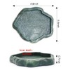 SLSON Small Reptile Feeder Terraium Bowl Plastic Shallow Reptile Feeder