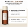 Skin1004 Set 4 Travel De Madagascar Centella Probio-cica