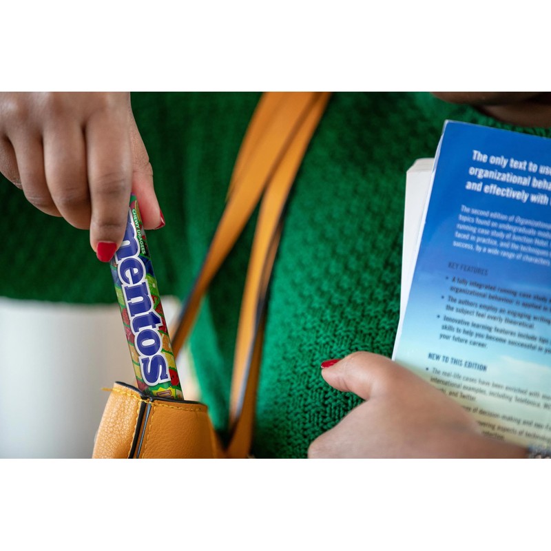 Mentos Discovery 14 Flavour Chews (1 Pack of 5 Rolls)