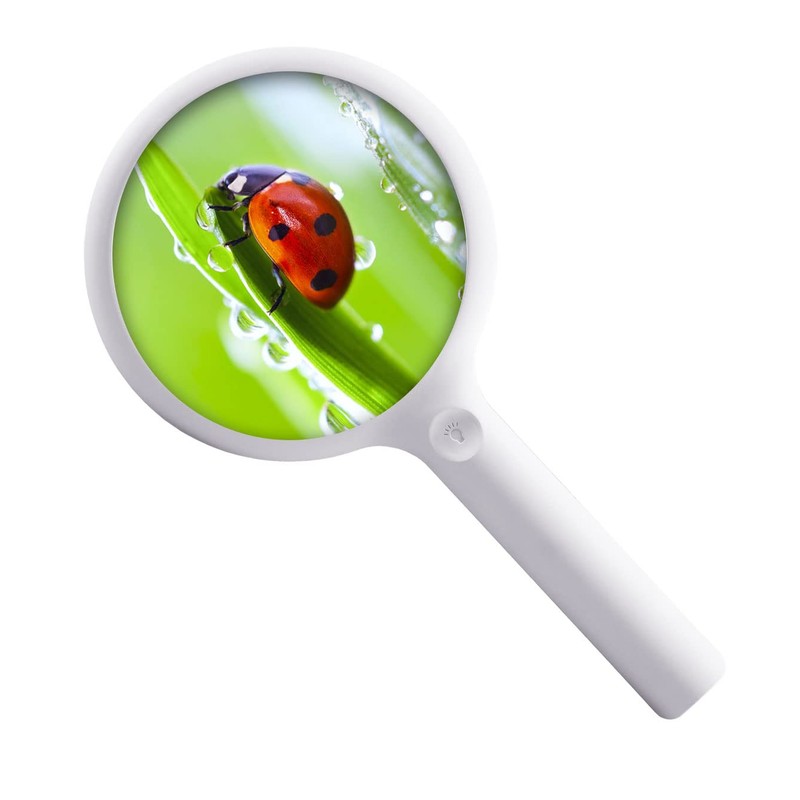 LHWCCPIT Rechargeable Magnifying Glass with 20 LED Light, 30X Handheld