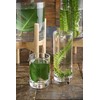 FOYER 2300033 Unbreakable Flower Base Polycarbonate, Stylish, Height 9.8 inches
