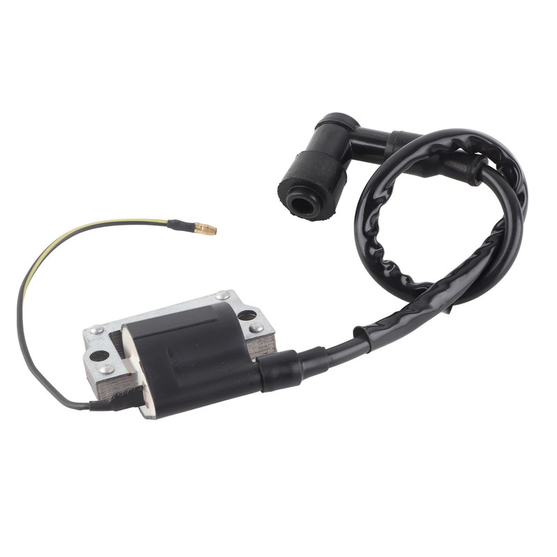 Ignition Coil Module Pulse Generator Replacement for G1 2‑Cycle 1979‑1989