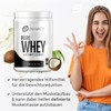 Whey Protein Powder Premium, High-Quality Protein Powder for Muscle Building