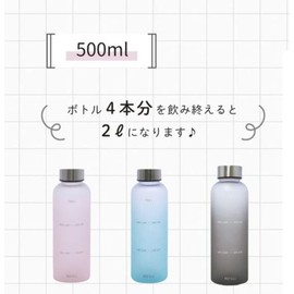Water Bottle, 16.9 fl oz (0.5 L), Bottle, 16.9 fl oz (500 ml), Time Marker, BPA Free (Drink 2 Liters of Water a Day! Outdoor Sports Bottle, Large Capacity, Gray, 16.9 fl oz (500 ml)