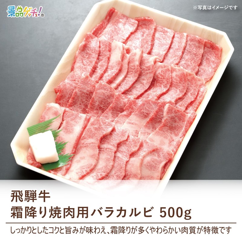 Prize Panel (Hida Beef Marbled Baracalbi, 17.6 oz (500 g),