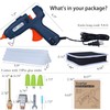 Full Size Hot Glue Gun with Case, 60W/100W/OFF Switch, 9.8ft
