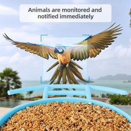 Zreswap Bird Feeder with Camera: Bird Feeder with Camera: Smart Bird Watching 2.4GWIFI Camera Automatic Shooting Bird & Motion Detection, Bird House Camera, Ideal Gift for Family