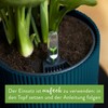 elho Vibes Fold Round with Self-Watering System - Flower Pot