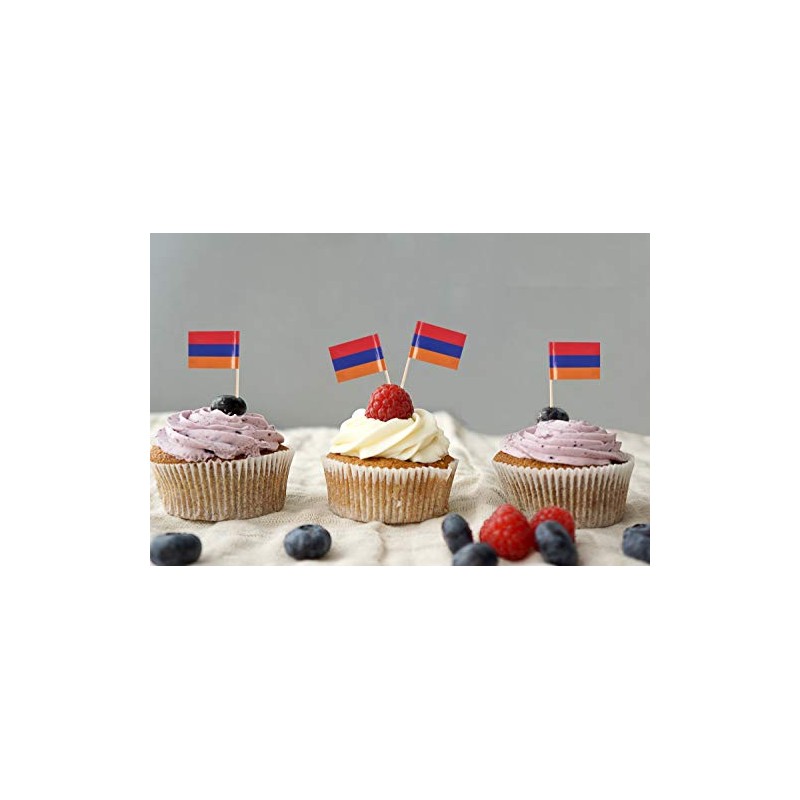 JBCD Armenia Toothpick Flag Armenian Mini Small Cupcake Topper Flags,