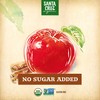 Santa Cruz Organic Cinnamon Apple Sauce Jars, 23oz (Pack of