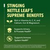 Stinging Nettle Leaf Extract Liquid Drops - USDA Organic -