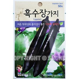 Eggplant Plant Seeds Korean, 1 Pack, 4 Grams (가지)