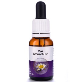 Living Essences Wa Smokebush 100ml