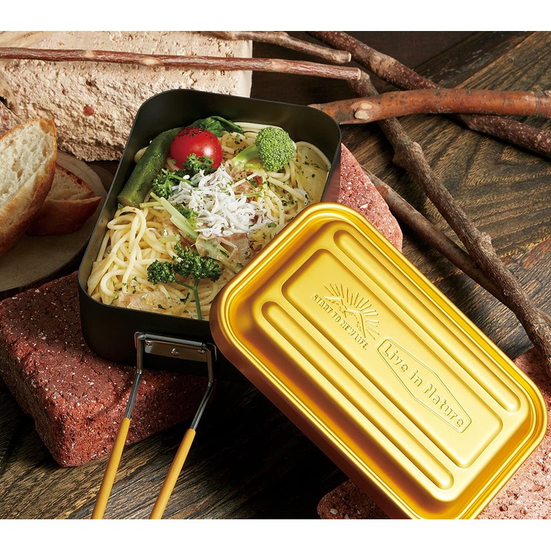 Skater AFTM8N-A Color Mestin, No Seasoning Required, Rice Rice, Outdoor
