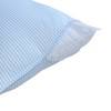 Pegasus Ez Dreams Queen Size Velvet Touch Striped Pillow Protector: