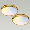 libtit 13 Inch Flush Mount Ceiling Lights, Dimmable 3000K-6500K Adjustable