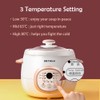 Tianji Electric Stew Pot, Ceramic Soup Porridge Cooker, Slow Cookers