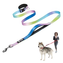 TSPRO Freehand Dog Lead, Adjustable, Free Handle for Dogs with Soft Padded Handle and Metal Buckle, for Medium Dogs to Large Dogs (Cyan Purple Blue Colour Gradient)