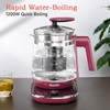 ICOOKPOT Hot Tea Maker Glass Electric Kettle with Tea Infuser