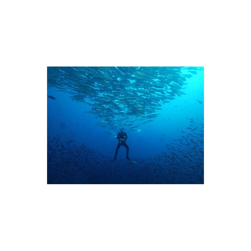 O'Neill Men's Wetsuits Heat 3mm Socks, Black, Medium