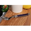 Laguole ABS Handle Teaspoon Gift Boxed French NERON Paris Blue