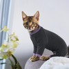 PUMYPOREITY Sticky Hair Cat Clothes, Prevent Hair Loss Cat Pajamas,