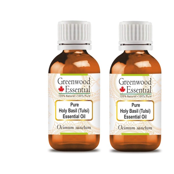 Greenwood Essential Pure Holy Basil (Tulsi) Essential Oil (Ocimum Sanctum) Natural Therapeutic Quality Steam Distilled (Pack of Two) 100 ml x 2 (6.76 oz)