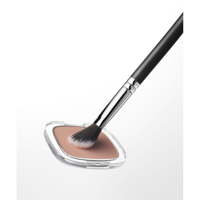 Picasso 24 Angle Point Blusher