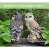 M Pro Owl Figurine, Garden Object, Feng Shui, Good Luck,