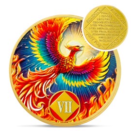 Sunlight Phoenix 7 Year Na Medallions - Reborn from Fire Sobriety Coin - Recovery Addiction NA AA Chips and Medallions - Celebrate Living Clean Affirmation Narcotics Anonymous Gifts for Men Women