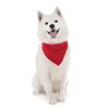 Balec Red Bandanas by Dozen 12 Pack for Women and