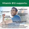 Nature Made B12 Extra Strength Gummies, 160 ct.