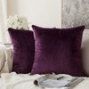 MIULEE Pack of 2 Velvet Soft Solid Decorative Square Throw