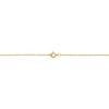14k Yellow Gold Rope Chain Pendant Necklace (0.9 mm, 18
