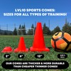 LVL10 Pro Training Cones - 2" Flat Cones for Sports