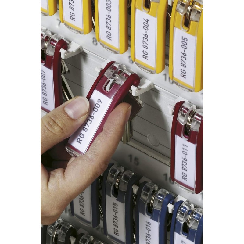 Durable Key Clips - Pack of 24 innovative Key Clips