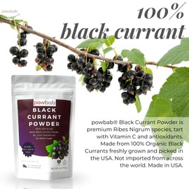 powbab Black Currant Powder - 100% USA Grown Whole Black Currants. No Juice Concentrate, No Added Sugar. Made in USA from Dried Currants Unsweetened. Not Freeze Dried. Non-GMO, No Maltodextrin. (6 oz)
