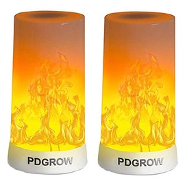 PDGROW LED Flame Effect Light, Flame Lamp 4 Modes USB Rechargeable Fire Lights Indoor Campfire Outdoor Decorative Lantern Hanging Lamps Fireplace Romantic Light for Home Party Camping Bar