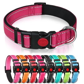 Reflective Nylon Dog Collar with Safety Buckle, Adjustable Pet Collars with Soft Neoprene Padding for Medium Dogs (Rose Red, M)